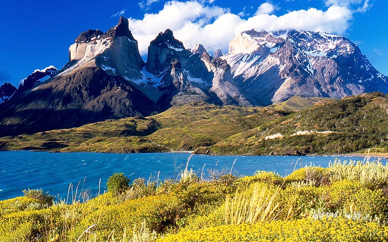 Vinos del Nuevo Mundo - Chile - Bodegas Montecillo