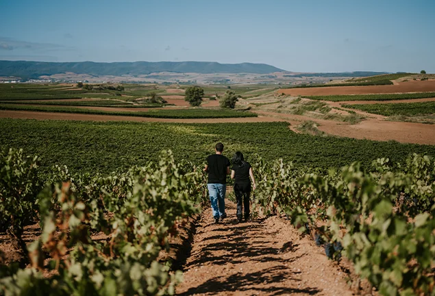 Bodegas Montecillo